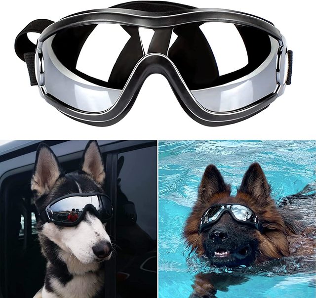 Gafas para perros con correa ajustable