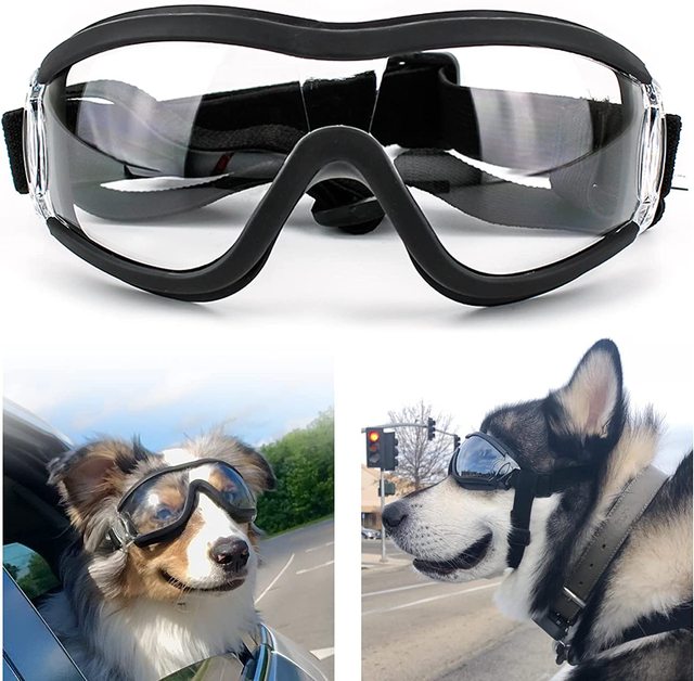 Gafas para perros con correa ajustable