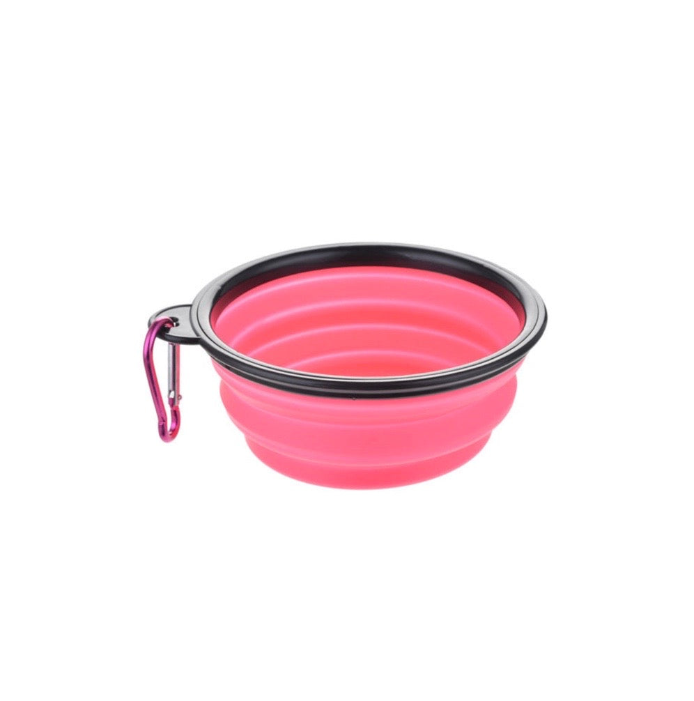 Colorful Pet Bowl