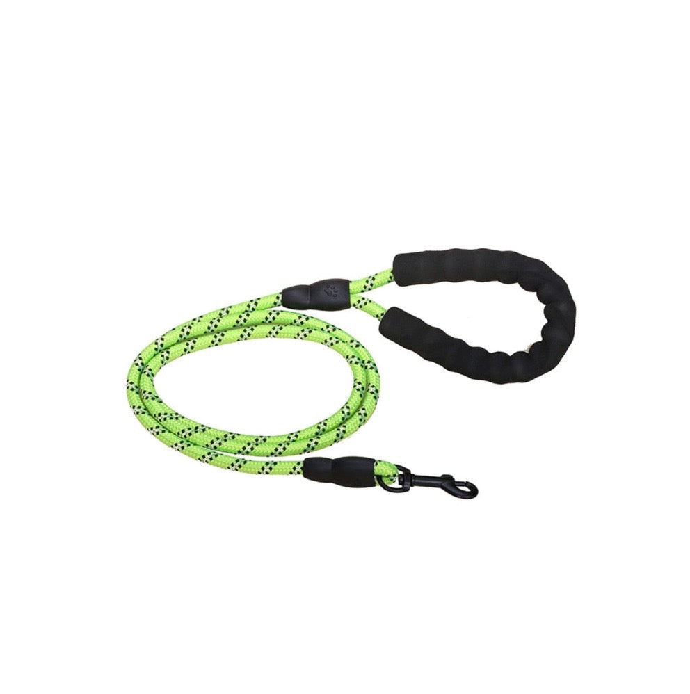 Premium Quality Nylon Leash