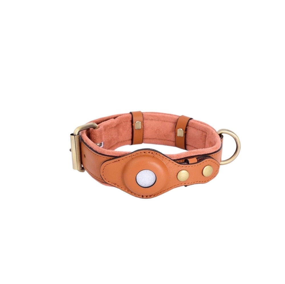 Leather Anti-Lost Dog Collar