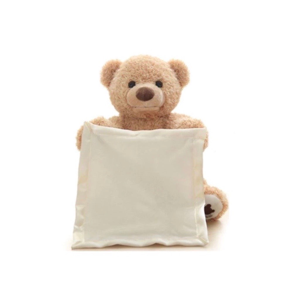 Bear Hide and Seek Toy