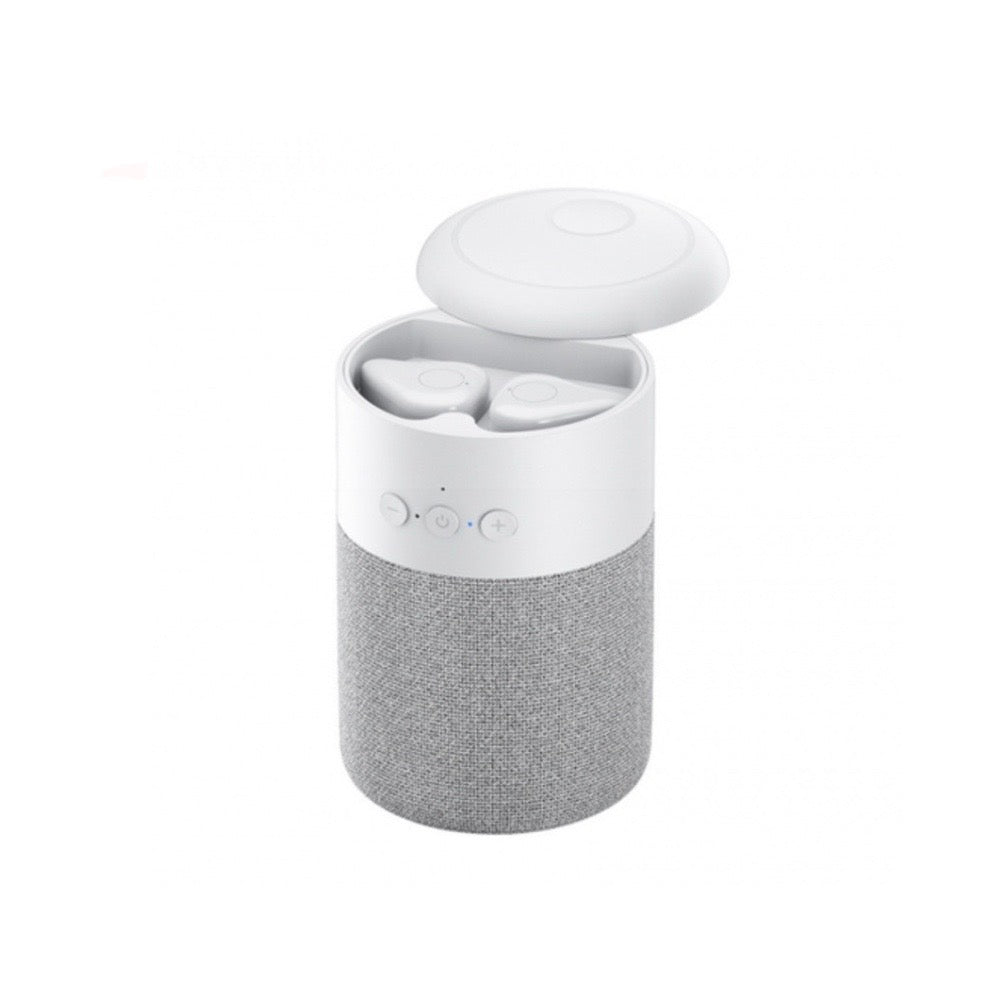 Mini Bluetooth Speaker