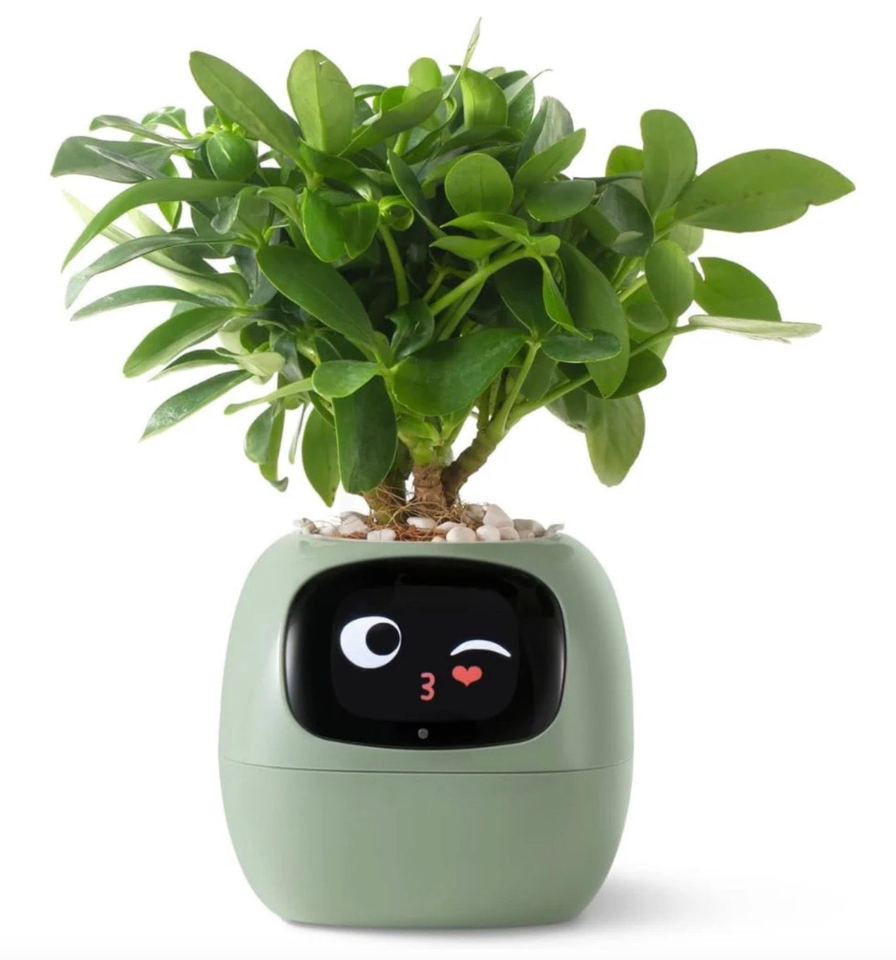 SmartGrow Planter – AI Expressions & Sensors