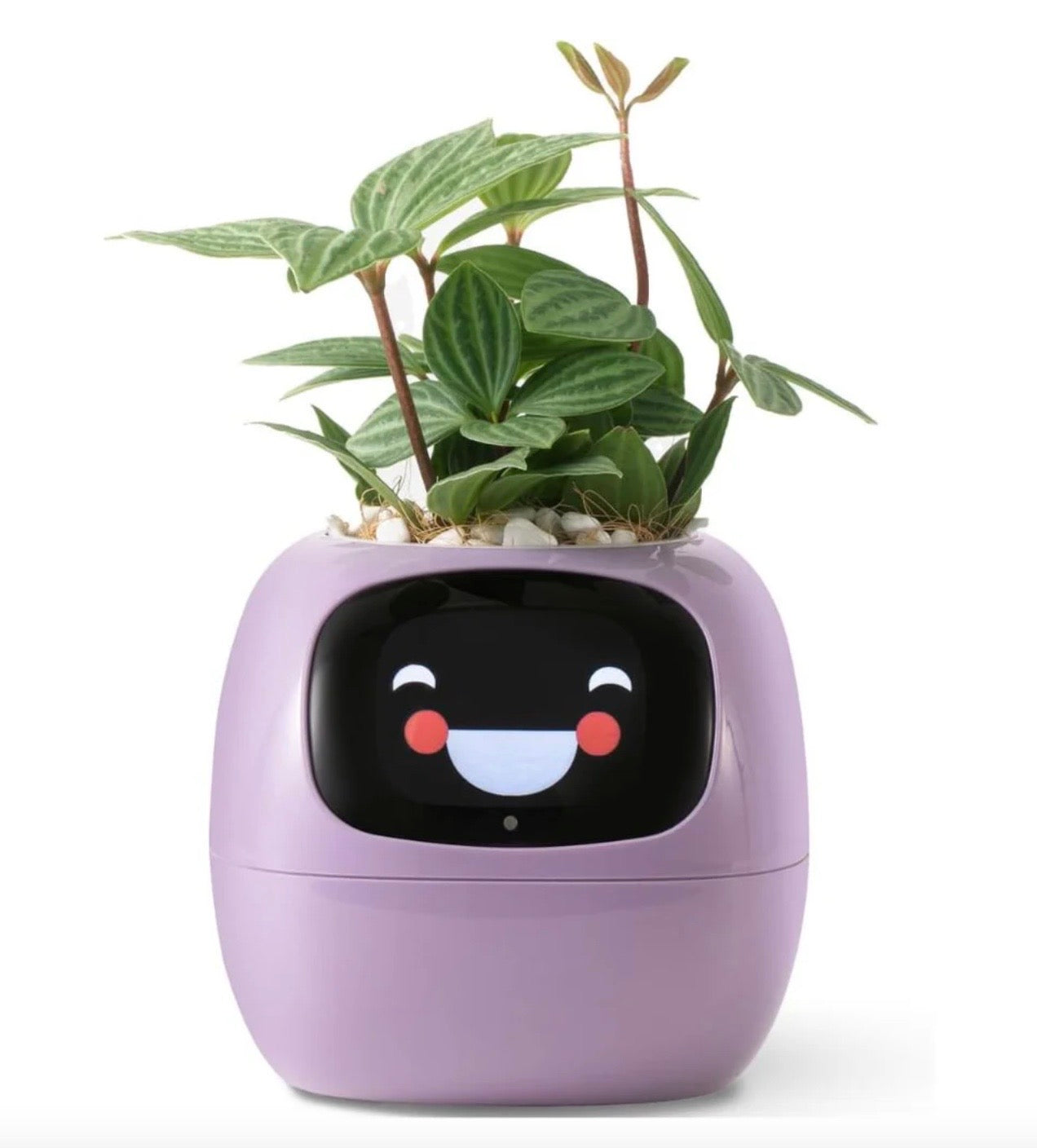 SmartGrow Planter – AI Expressions & Sensors