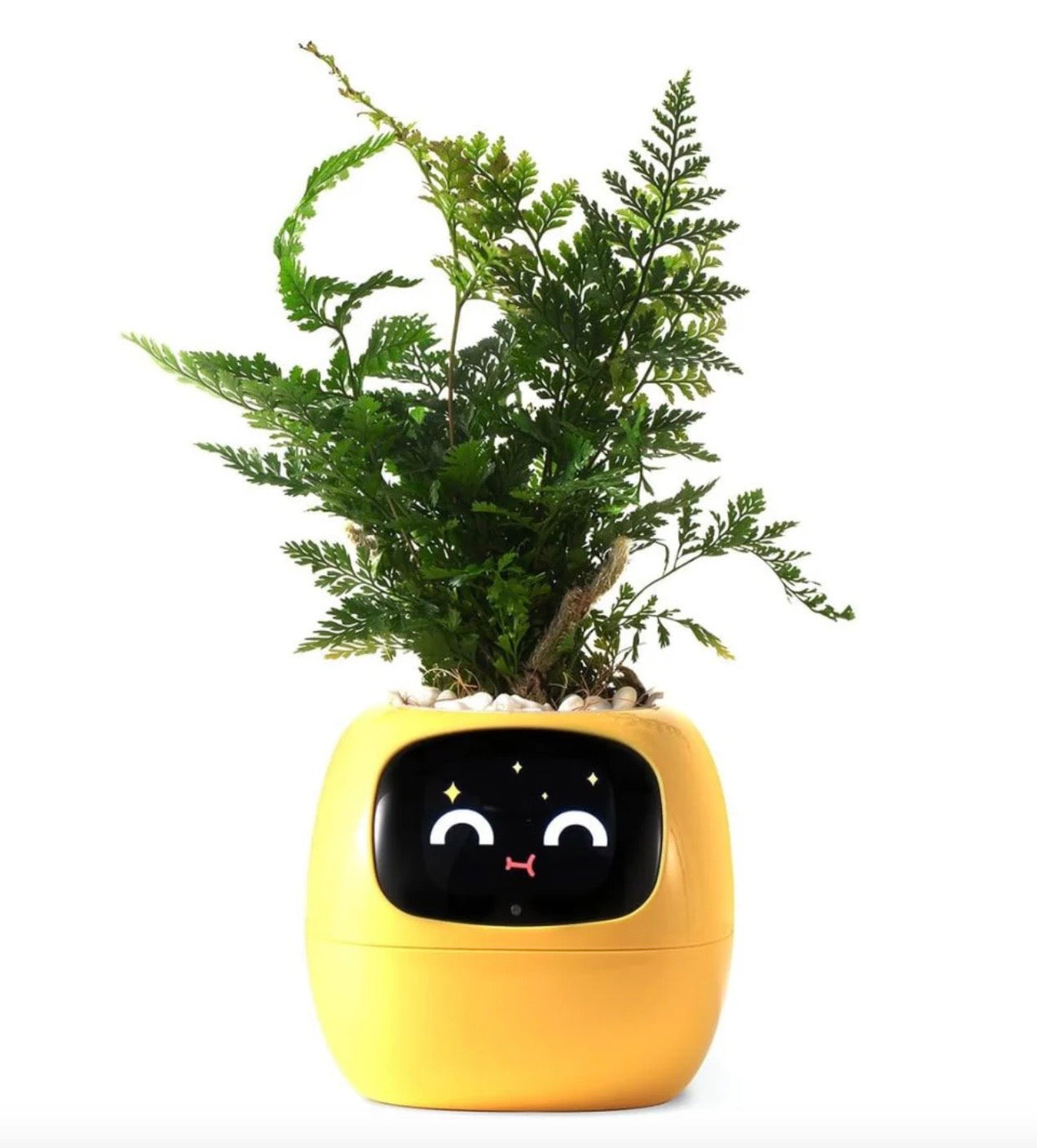 SmartGrow Planter – AI Expressions & Sensors