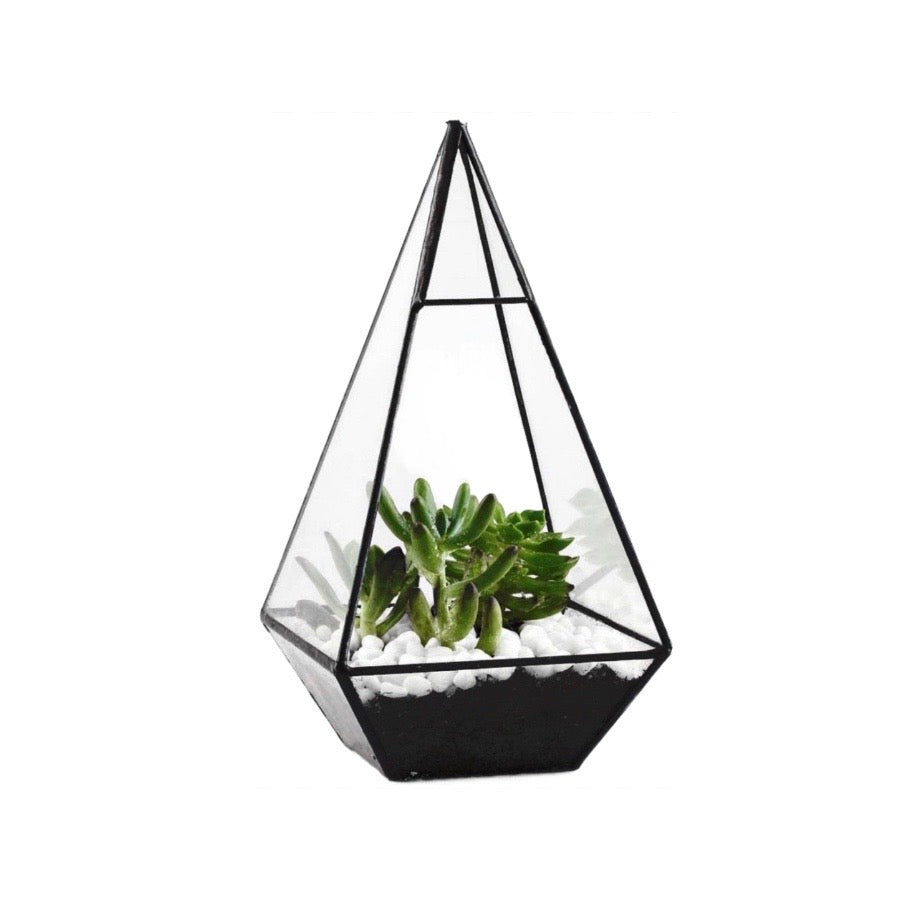 Pyramid Glass Terrarium