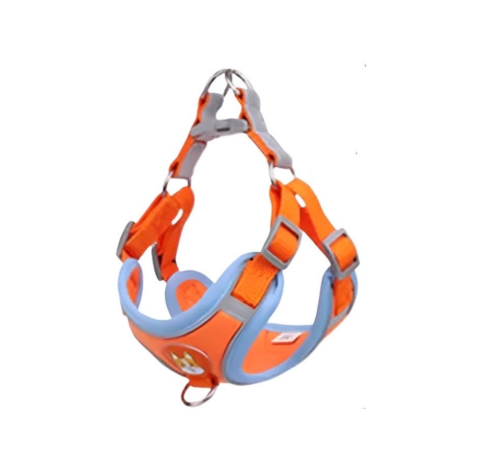 Reflective Pet Harness And Leash Set