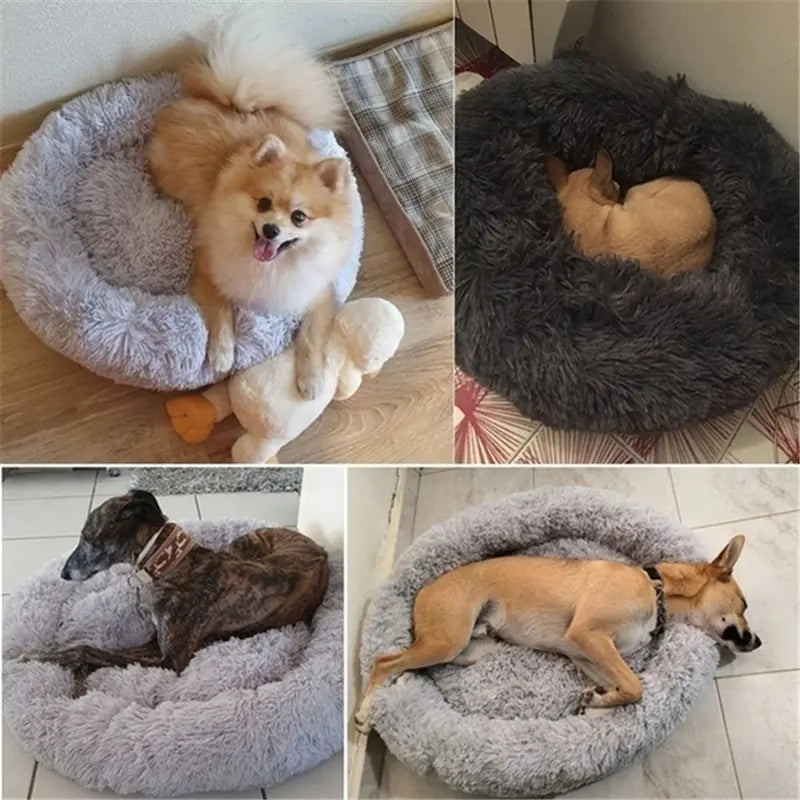 Plush Bed for Large Breed Pets (Private listing U1365547 )