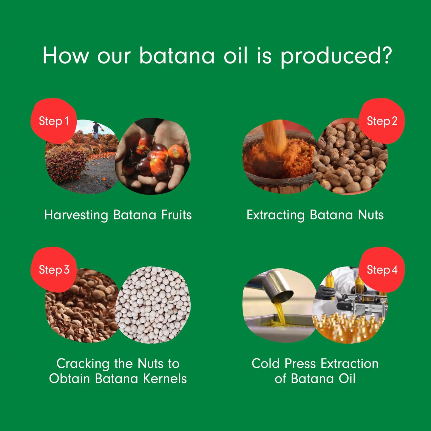 Batana Oil: Dr. Sebi Organic Raw Honduras Oil for Hair Growth