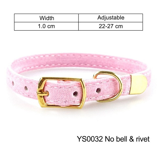 Collar para perros y gatos pequeños