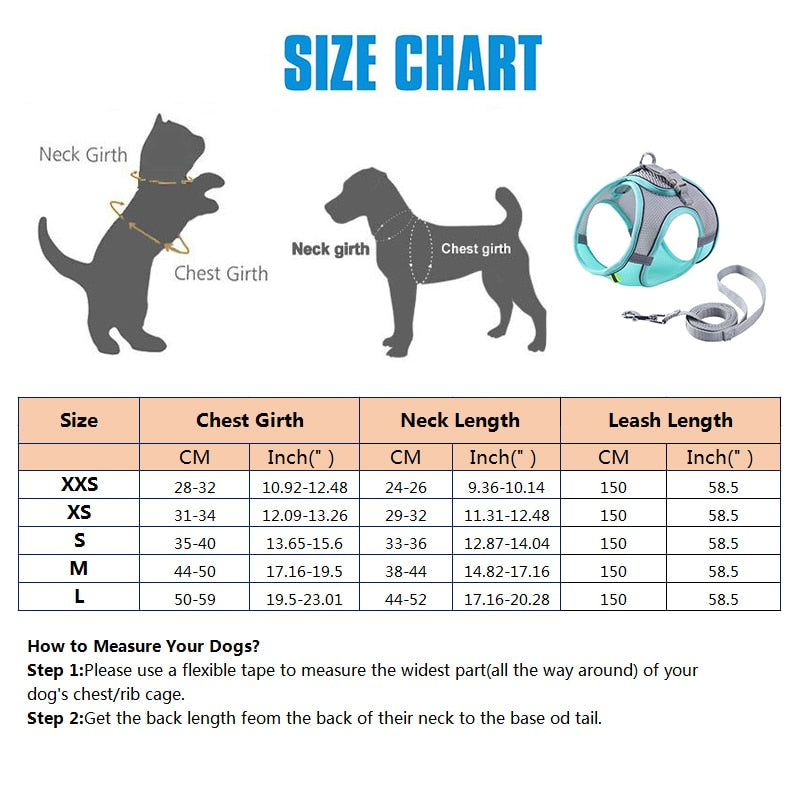 Juego de correa y arnés para mascotas pequeñas a prueba de escape