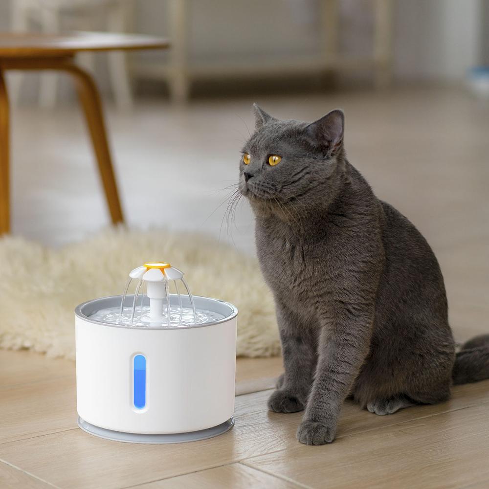 Dispensador de fuente para beber para mascotas