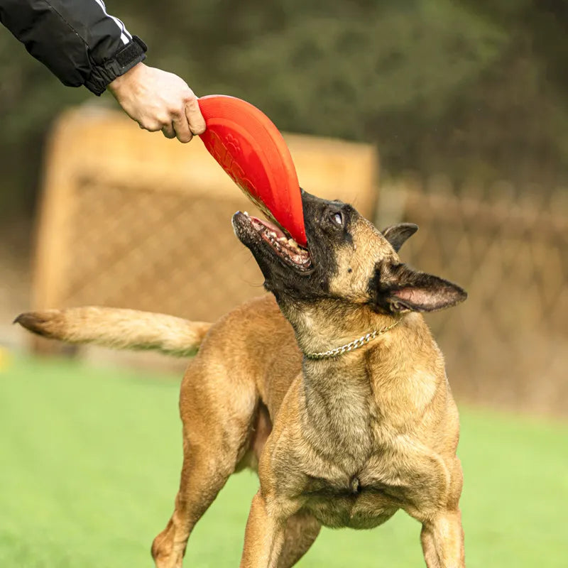 OnlinePetToys™- Disco volador de goma para perros