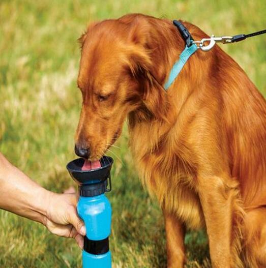 Bebedero de botella de agua portátil para perros de compañía