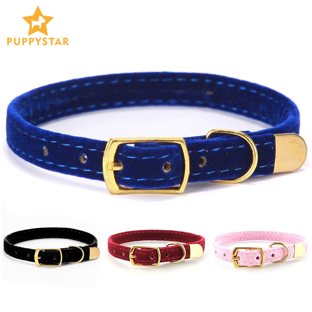 Collar para perros y gatos pequeños