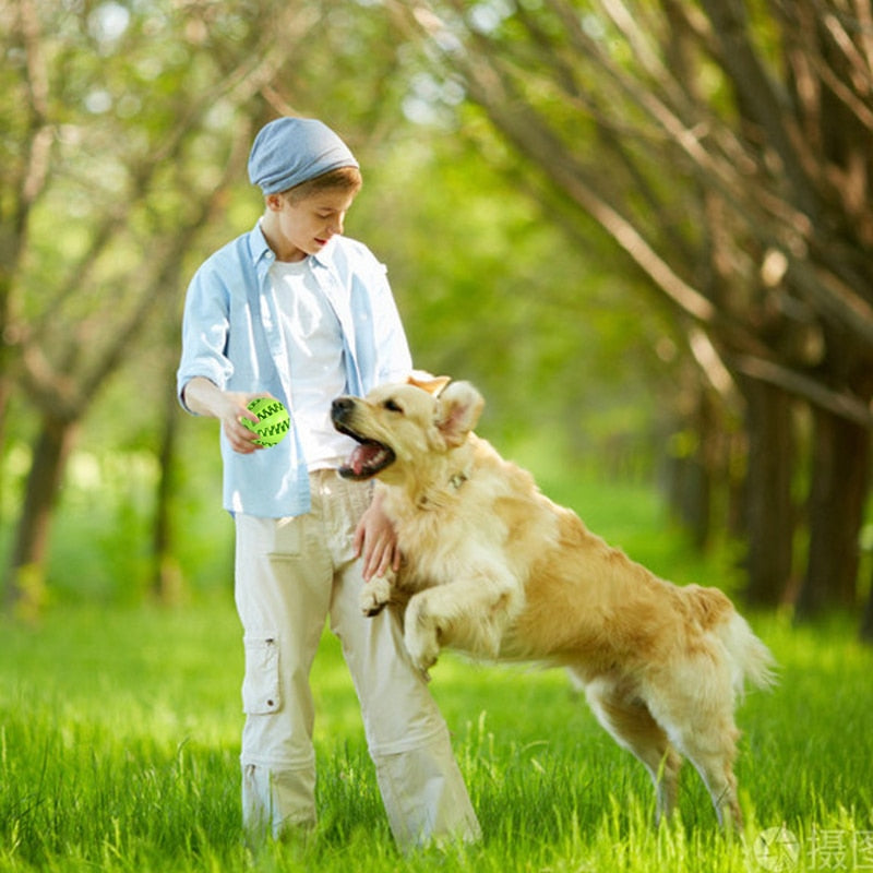 Juguete interactivo de goma para perros