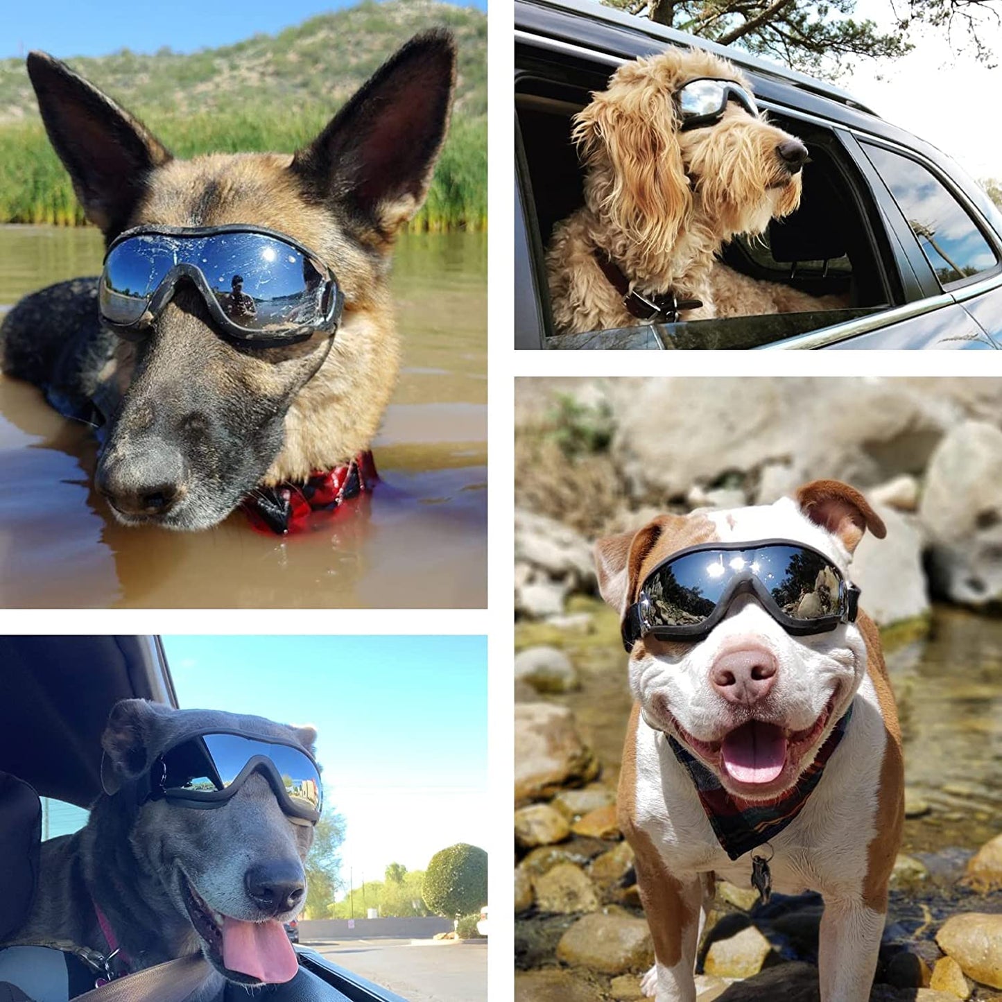 Gafas para perros con correa ajustable