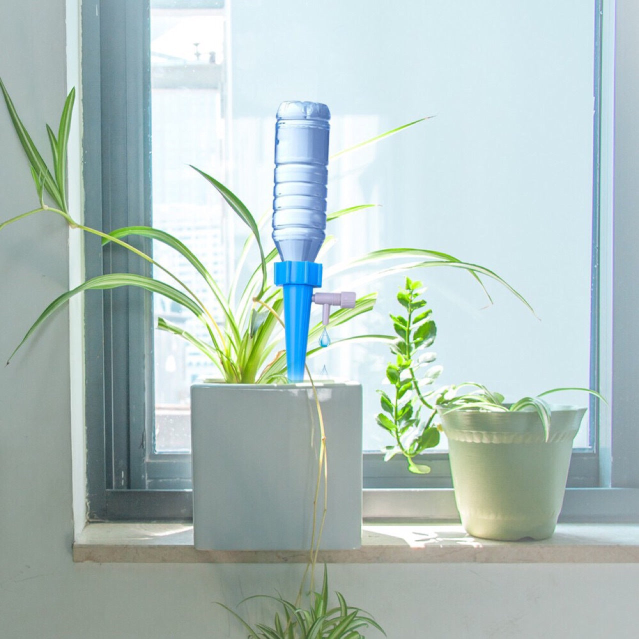 Automatic Watering Device