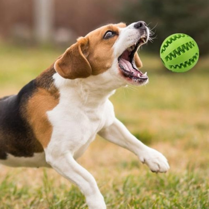 Juguete interactivo de goma para perros